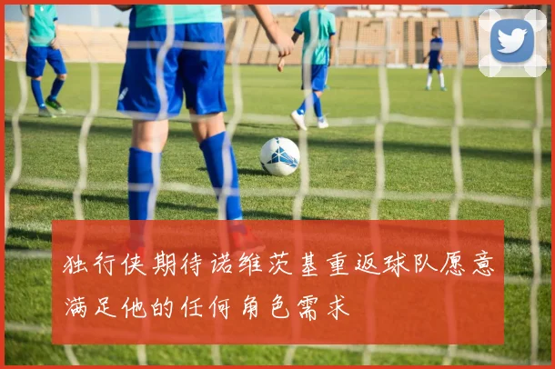 独行侠期待诺维茨基重返球队愿意满足他的任何角色需求