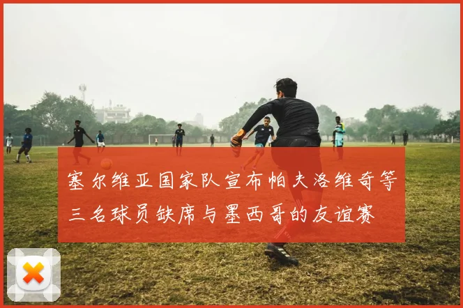 塞尔维亚国家队宣布帕夫洛维奇等三名球员缺席与墨西哥的友谊赛