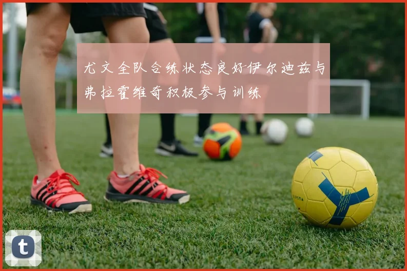 尤文全队合练状态良好伊尔迪兹与弗拉霍维奇积极参与训练