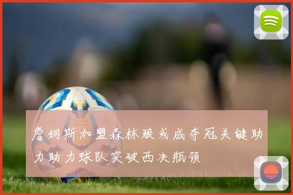 詹姆斯加盟森林狼或成夺冠关键助力助力球队突破西决瓶颈
